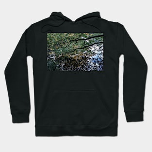 Impressionistic photography Hoodie